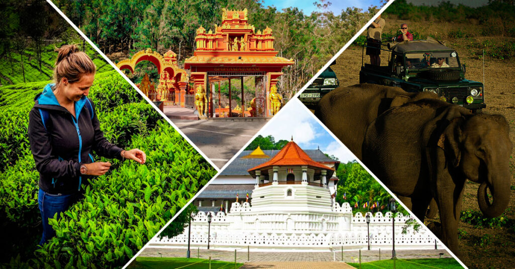 6 Days -Temples, Wildlife & Beach