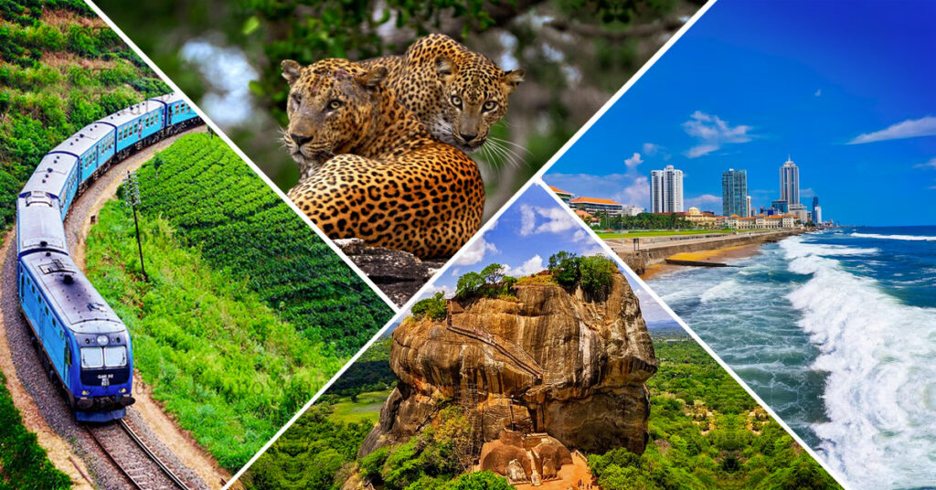 A Journey Through Paradise