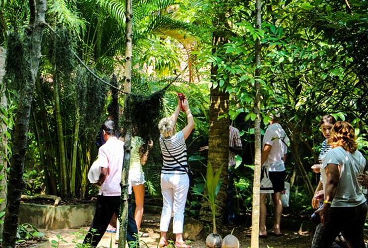 4. Matale Herbal and Spice Garden