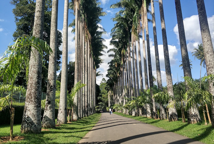 4. Royal botanical-garden