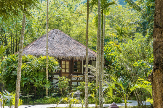 4. Serene jungle resort