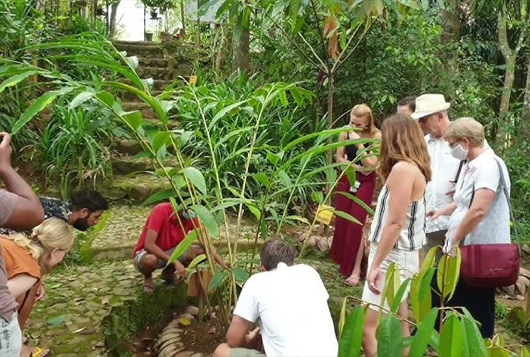 4. Spice & Herbal Garden