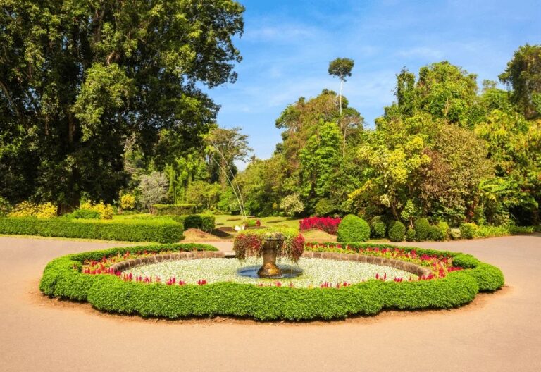6. Peradeniya Botanical Garden