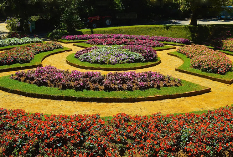 7. Hakgala Botanical Garden