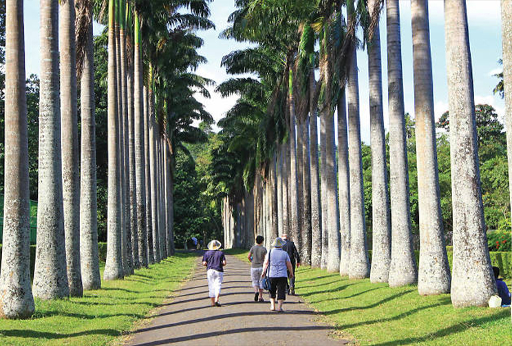 9. Royal Botanical Garden